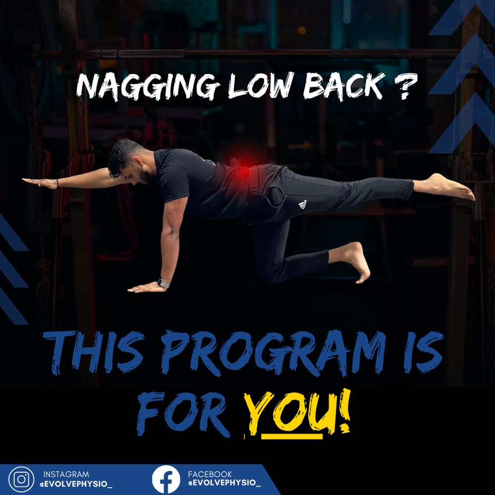 The Back Pain Mastery Guide